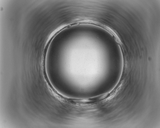 X0000087511149200705040942