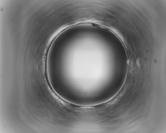 X0000087511151200705040942