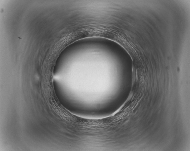X0000087511153200705040942