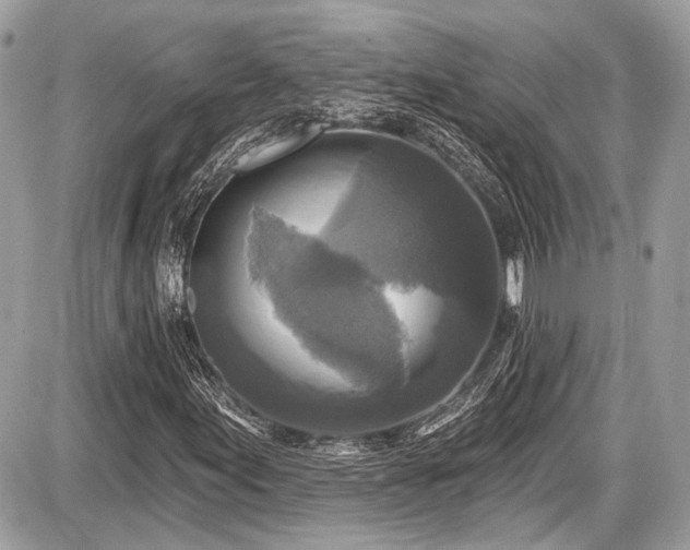 X0000087511155200705040942
