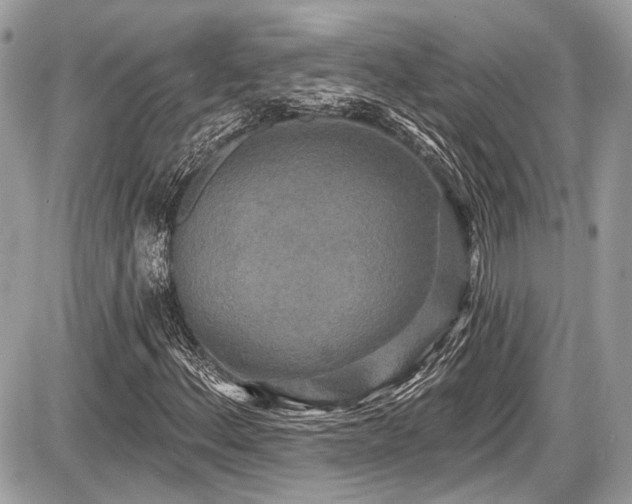 X0000087511156200705040942