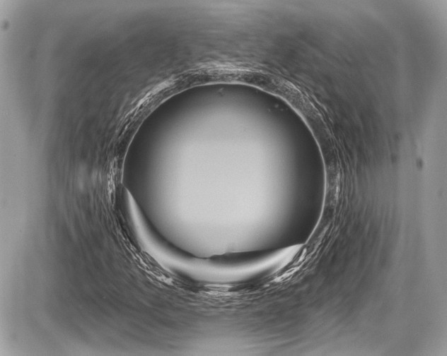X0000087511157200705040942