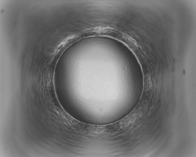 X0000087511158200705040942