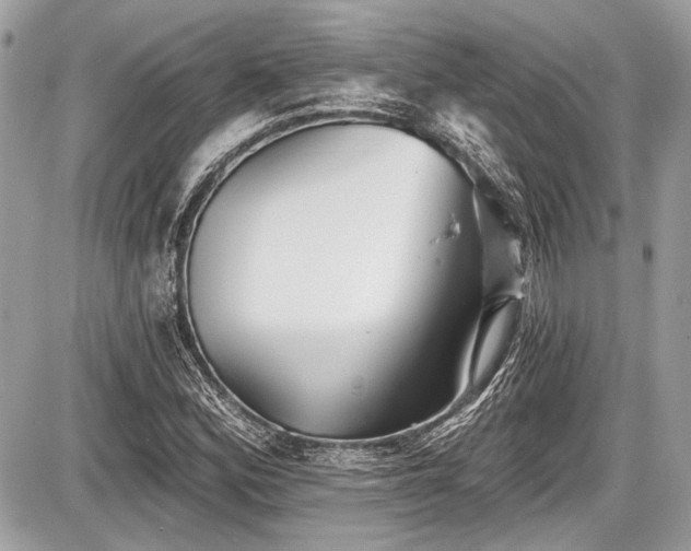 X0000087511164200705040942