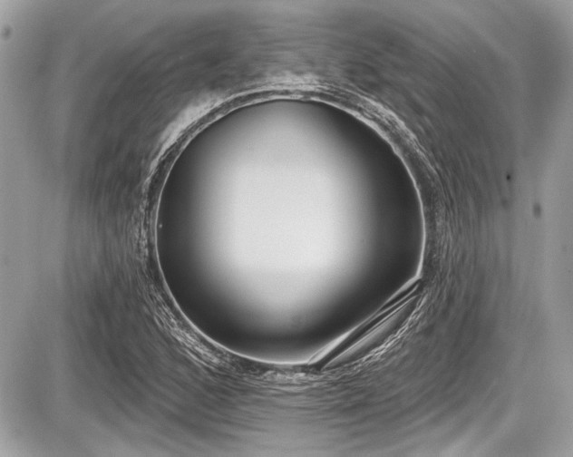 X0000087511168200705040941