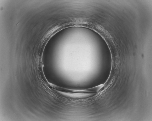 X0000087511169200705040941