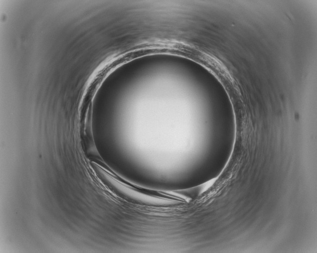 X0000087511172200705040941