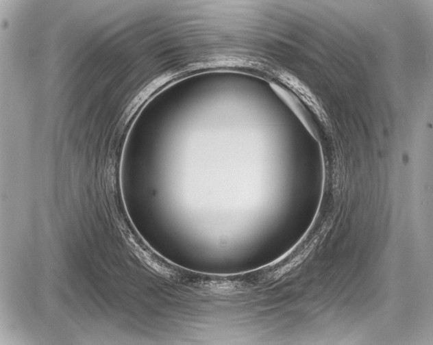 X0000087511177200705040941