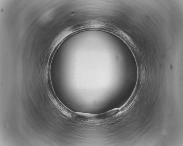 X0000087511178200705040941