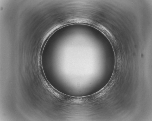 X0000087511182200705040941