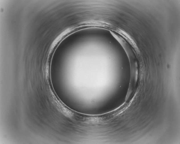 X0000087511188200705040941
