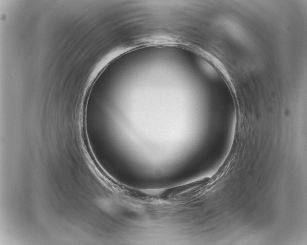 X0000087511195200705040941