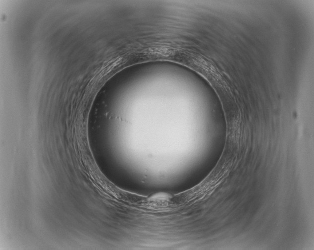 X0000087511201200705040940