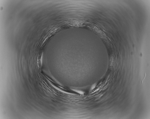 X0000087511202200705040940