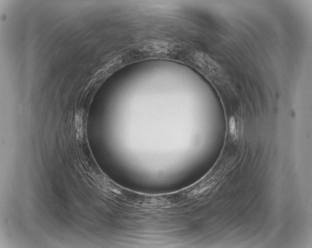 X0000087511203200705040940