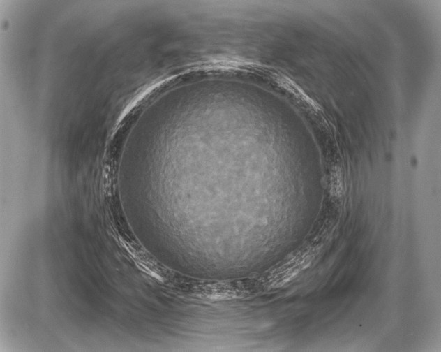 X0000087511208200705040940