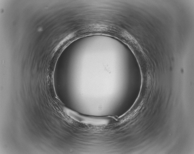 X0000087511210200705040940