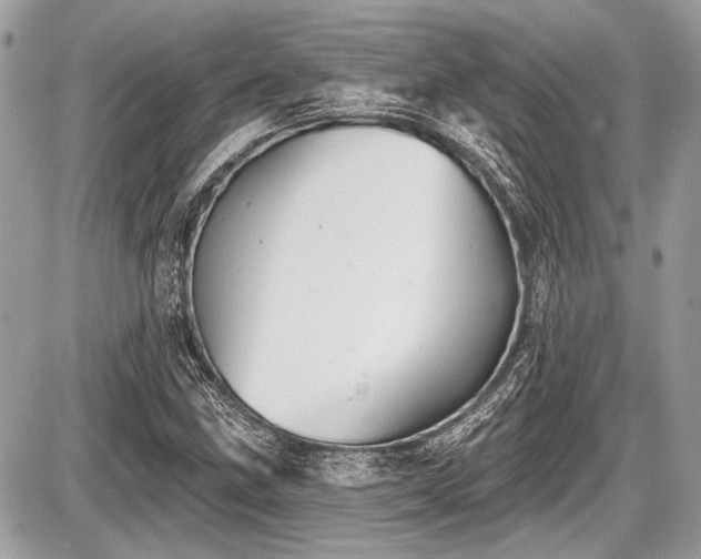 X0000087511211200705040940