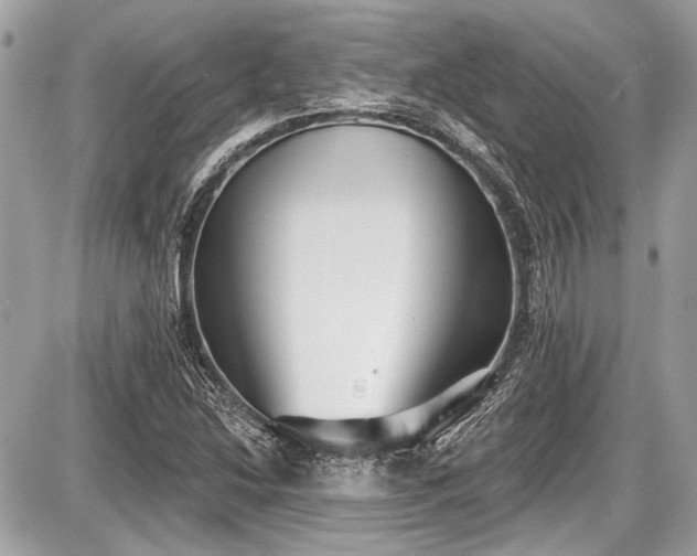 X0000087511214200705040940