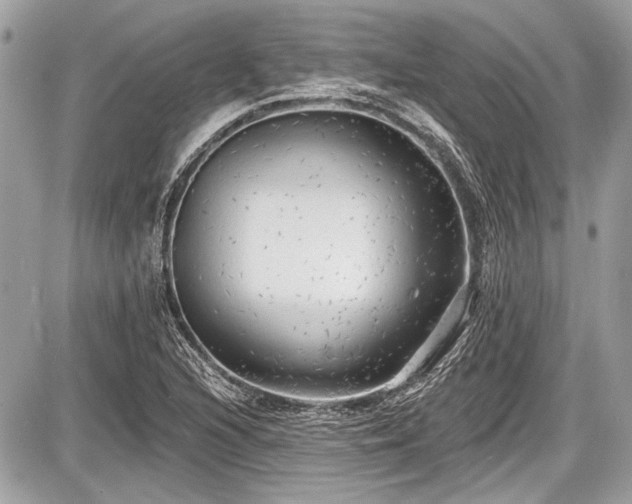X0000087511216200705040940