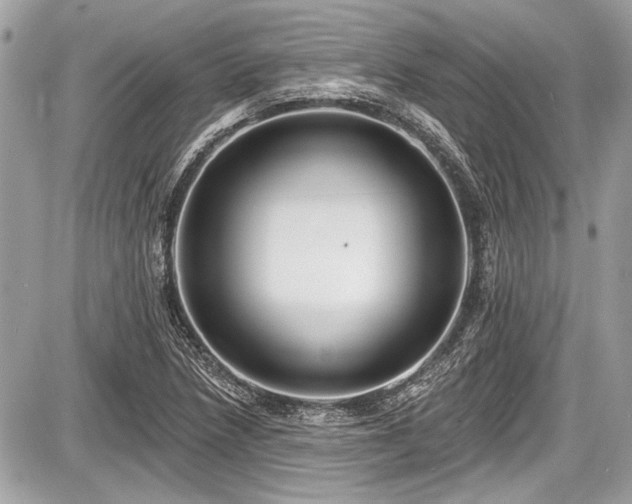 X0000087511218200705040940