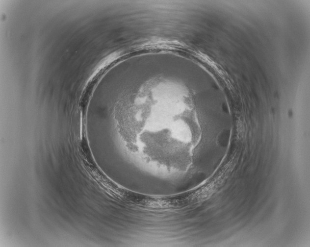 X0000087511219200705040940