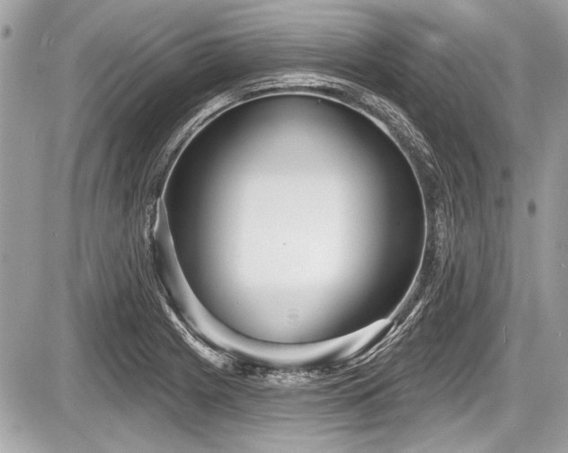 X0000087511225200705040941