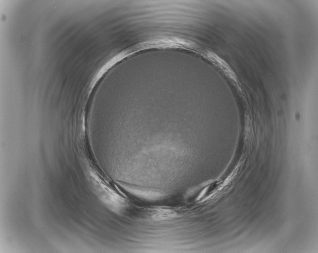 X0000087511226200705040941