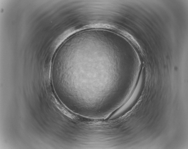 X0000087511228200705040941
