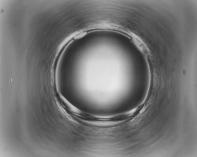 X0000087511238200705040941
