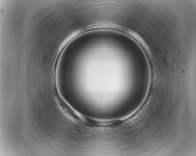 X0000087511242200705040941