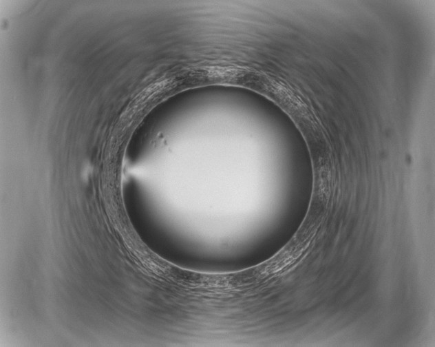 X0000087511249200705040940