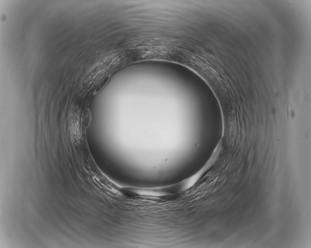 X0000087511250200705040940