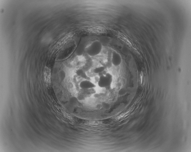 X0000087511251200705040940