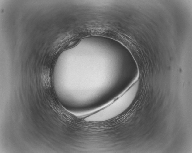 X0000087511252200705040940