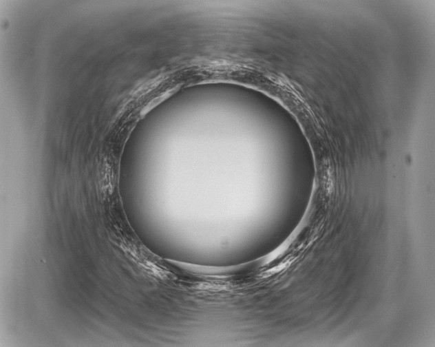 X0000087511253200705040940