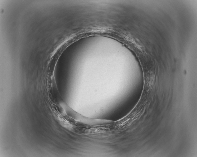 X0000087511256200705040940