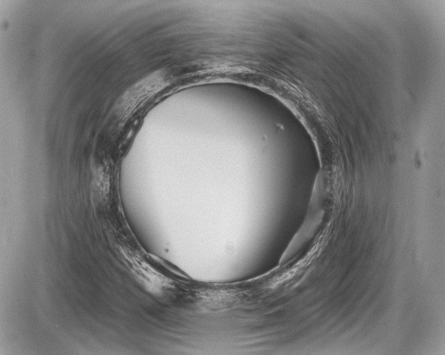X0000087511257200705040940