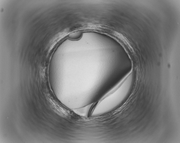 X0000087511260200705040940