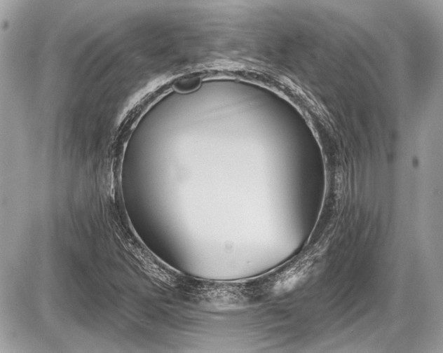 X0000087511262200705040940