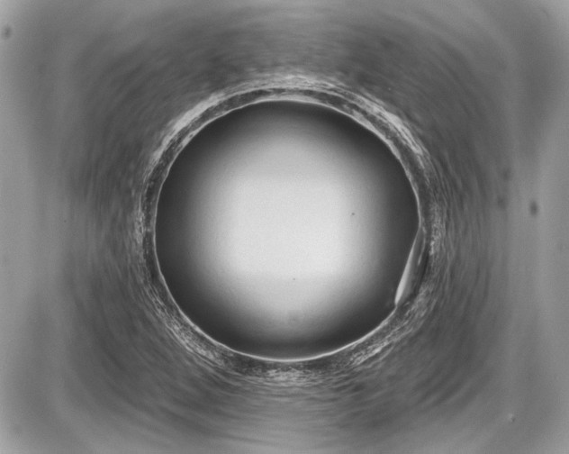 X0000087511264200705040940