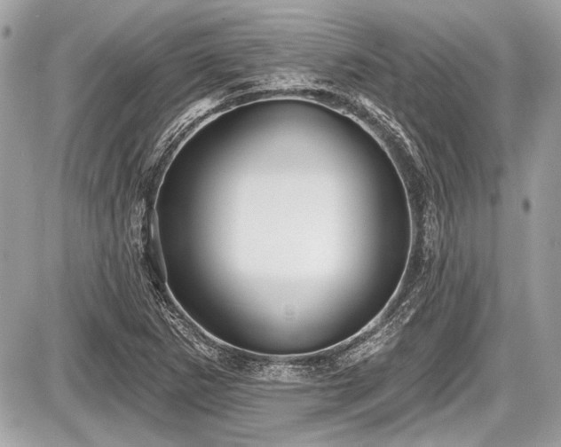 X0000087511265200705040940