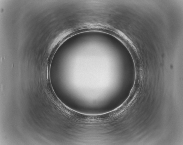 X0000087511269200705040940