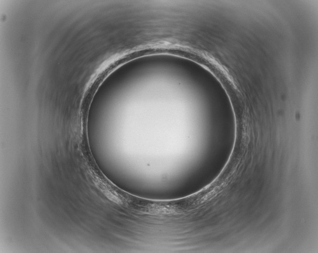 X0000087511270200705040940