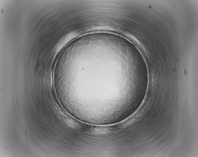 X0000087511274200705040940