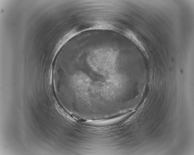 X0000087511276200705040940