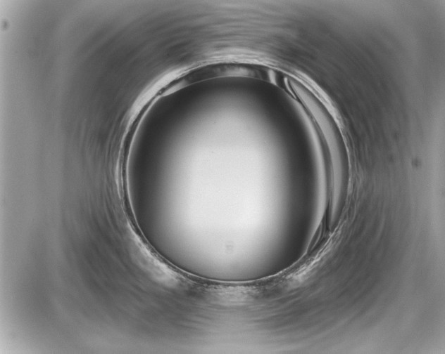 X0000087511293200705040939