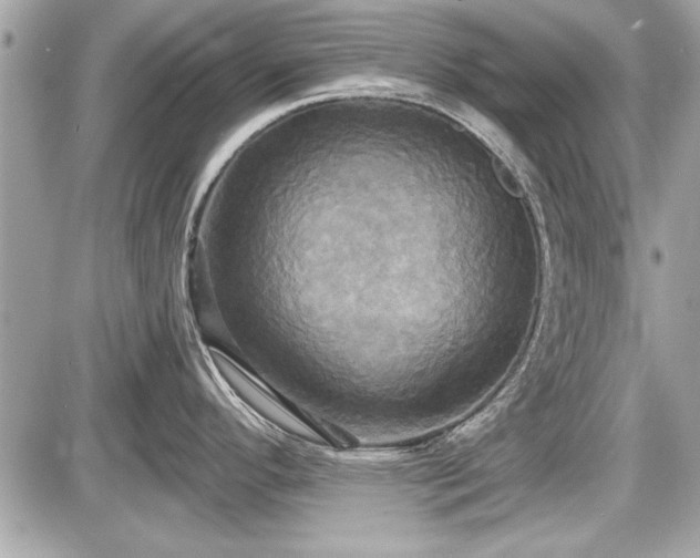 X0000087511296200705040939
