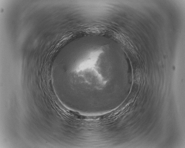 X0000087511297200705040939