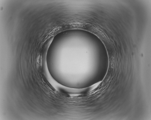 X0000087511298200705040939